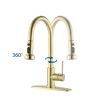 Stainless Steel Pull Down Kitchen Faucet with Soap Dispenser Brushed Gold