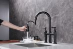 Bridge Kitchen Faucet with Pull-Down Sprayhead in Spot