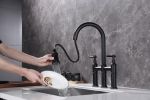 Bridge Kitchen Faucet with Pull-Down Sprayhead in Spot