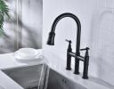 Bridge Kitchen Faucet with Pull-Down Sprayhead in Spot